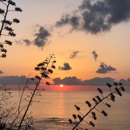 "Suliscenti" Dimora Siciliana B&B อาโวลา ภายนอก รูปภาพ