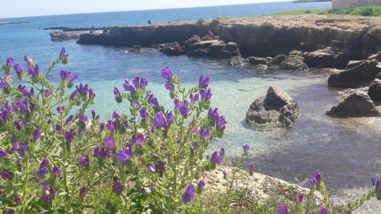 "Suliscenti" Dimora Siciliana B&B อาโวลา ภายนอก รูปภาพ